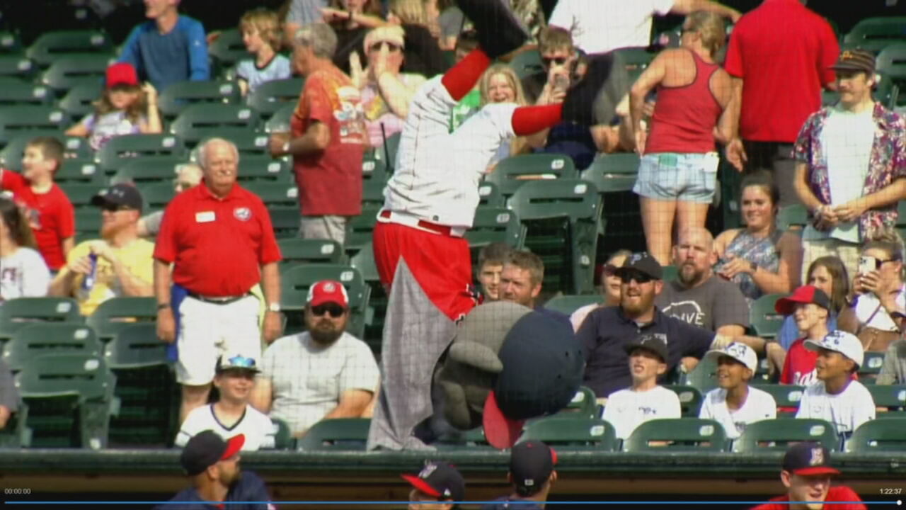 bats baseball 3